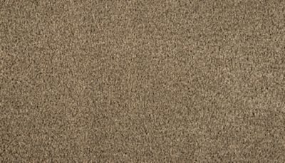 Mohawk Luxuriant Surface · Halo