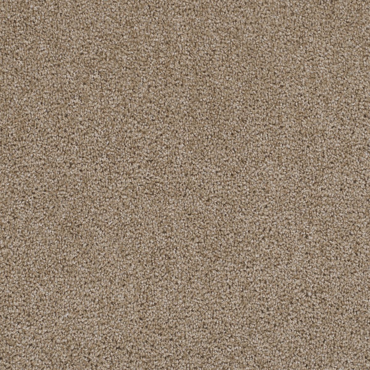 Dream Weaver / Engineered Floors First Step  Biscotti · 4160-642