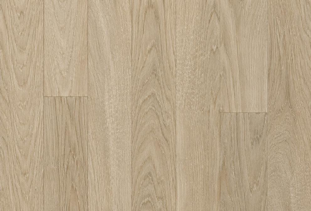 White Oak illustrated grain comparison