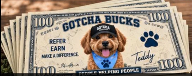 Original Teddy Gotcha Bucks artwork from your presentation